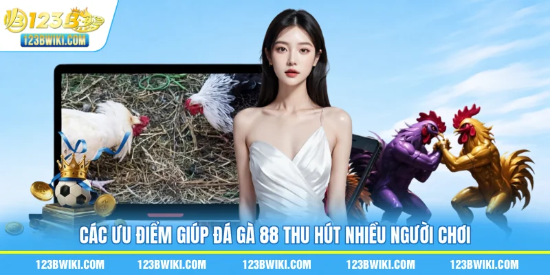 Các ưu điểm giúp đá gà 88 thu hút nhiều người chơi