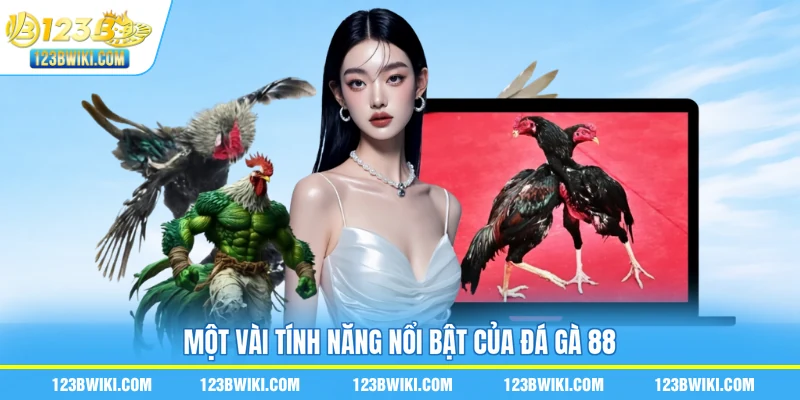 Một vài tính năng nổi bật của đá gà 88