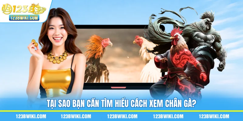 Tại sao bạn cần tìm hiểu cách xem chân gà?