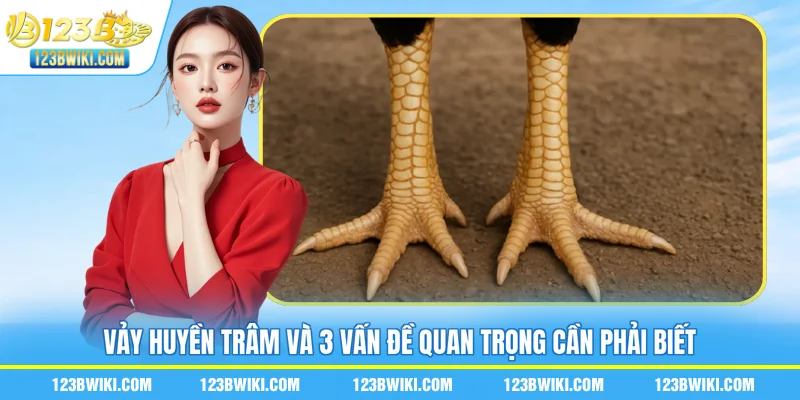 Vảy Huyền Trâm Và 3 Vấn Đề Quan Trọng Cần Phải Biết